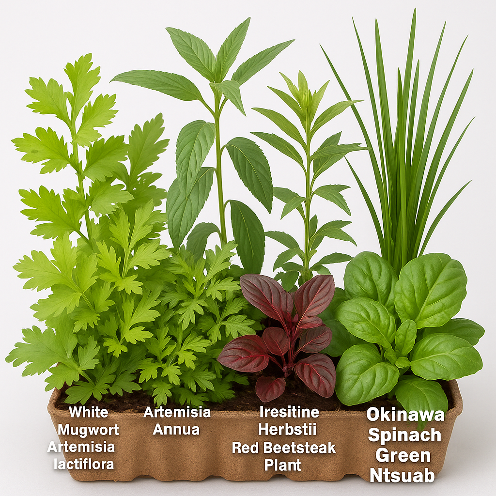Chicken Herbs